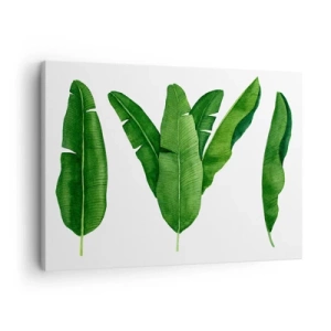Tablou pe pânză Canvas - Trei frunze de bananier într-o abordare artistică - 70x50cm - Simetrie verde - Decorațiune modernă pentru perete pentru living și dormitor ARTTOR