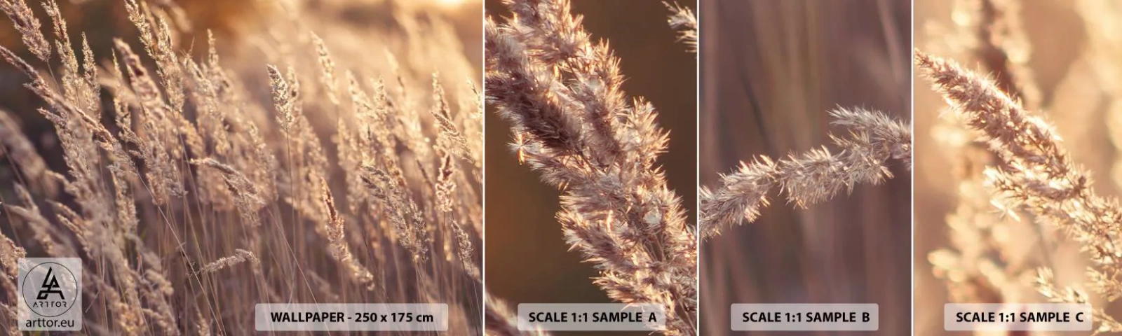 Mostră tapet autocolant Deluxe Sticker - Gata să întâmpine toamna - Peisaj, Urechi de cereale, luncă - 100x30 cm