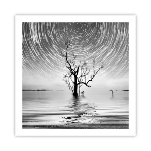 Poster - O simfonie a naturii - 60x60 cm