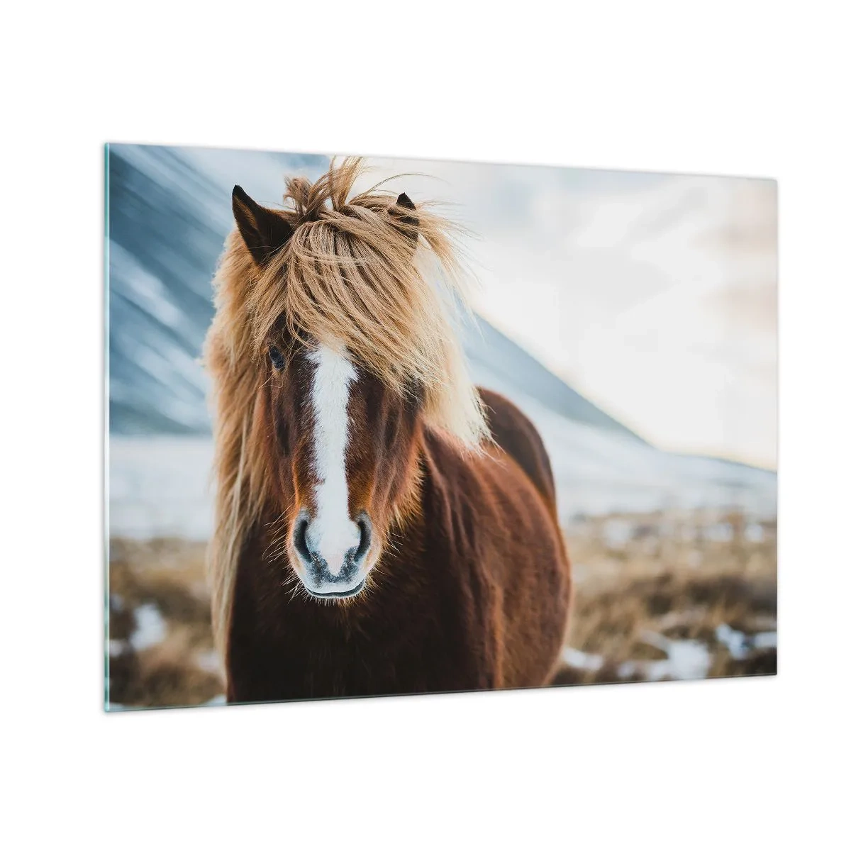 Tablou pe sticlă - Un cal pe fundalul unui peisaj montan în timpul iernii - 70x50cm - Simțiți libertatea? - Decorațiune modernă pentru perete pentru living și dormitor ARTTOR