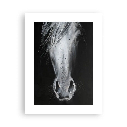 Poster - O privire seducătoare - 30x40 cm