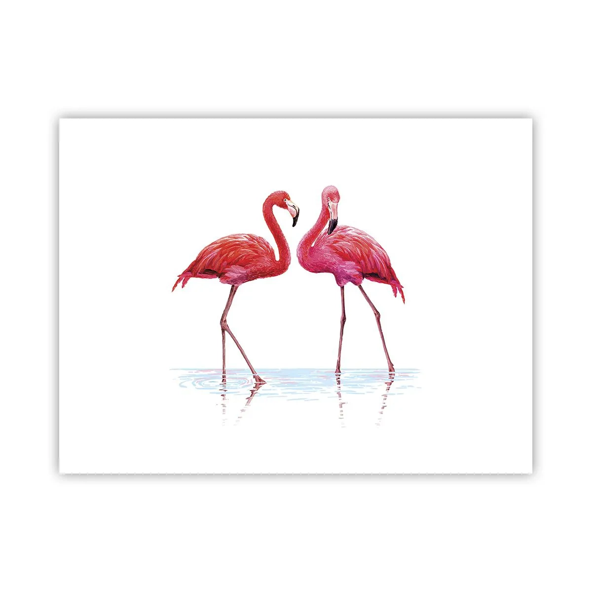 Poster - Pink randez-vous - 40x30 cm