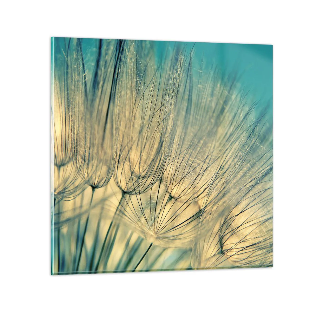 Tablou pe sticlă - Așteptând vântul - 60x60 cm
