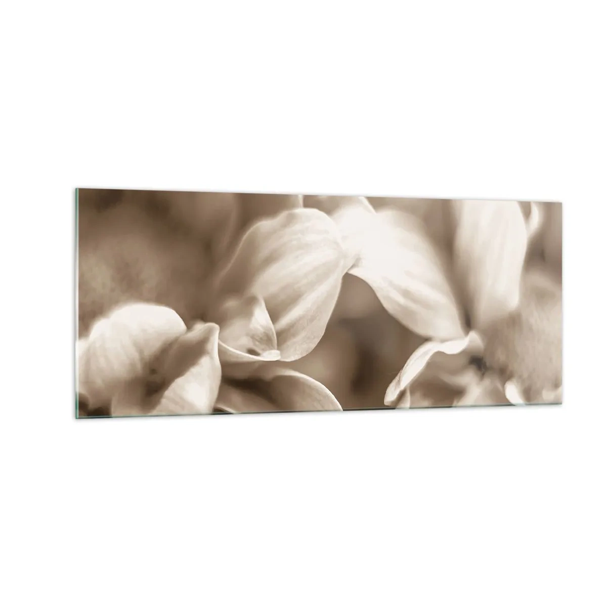 Tablou pe sticlă - Blânde ca un zâmbet - 100x40 cm