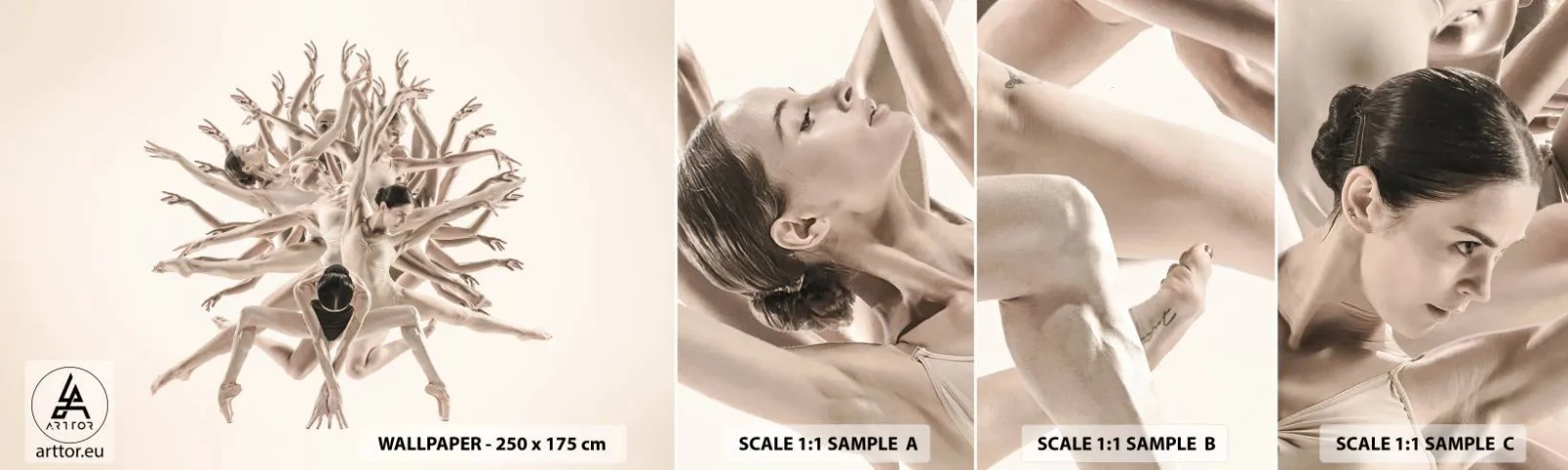 Mostră tapet autocolant Deluxe Sticker - Înflorirea în dans - Abstracția, Bucată, Balet - 100x30 cm