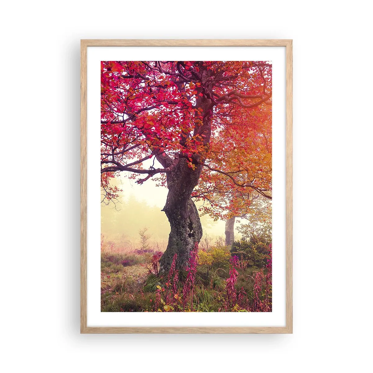 Poster în ramă de stejar deschis - O frenezie de înflorire - 50x70 cm