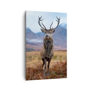 Tablou pe pânză Canvas - Pe propriul lui teritoriu - 80x120 cm