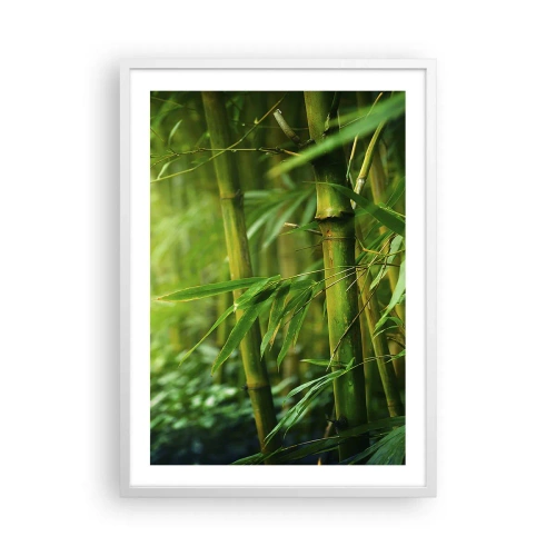 Poster în ramă albă - Cunoașteți verdeața în sine - 50x70 cm