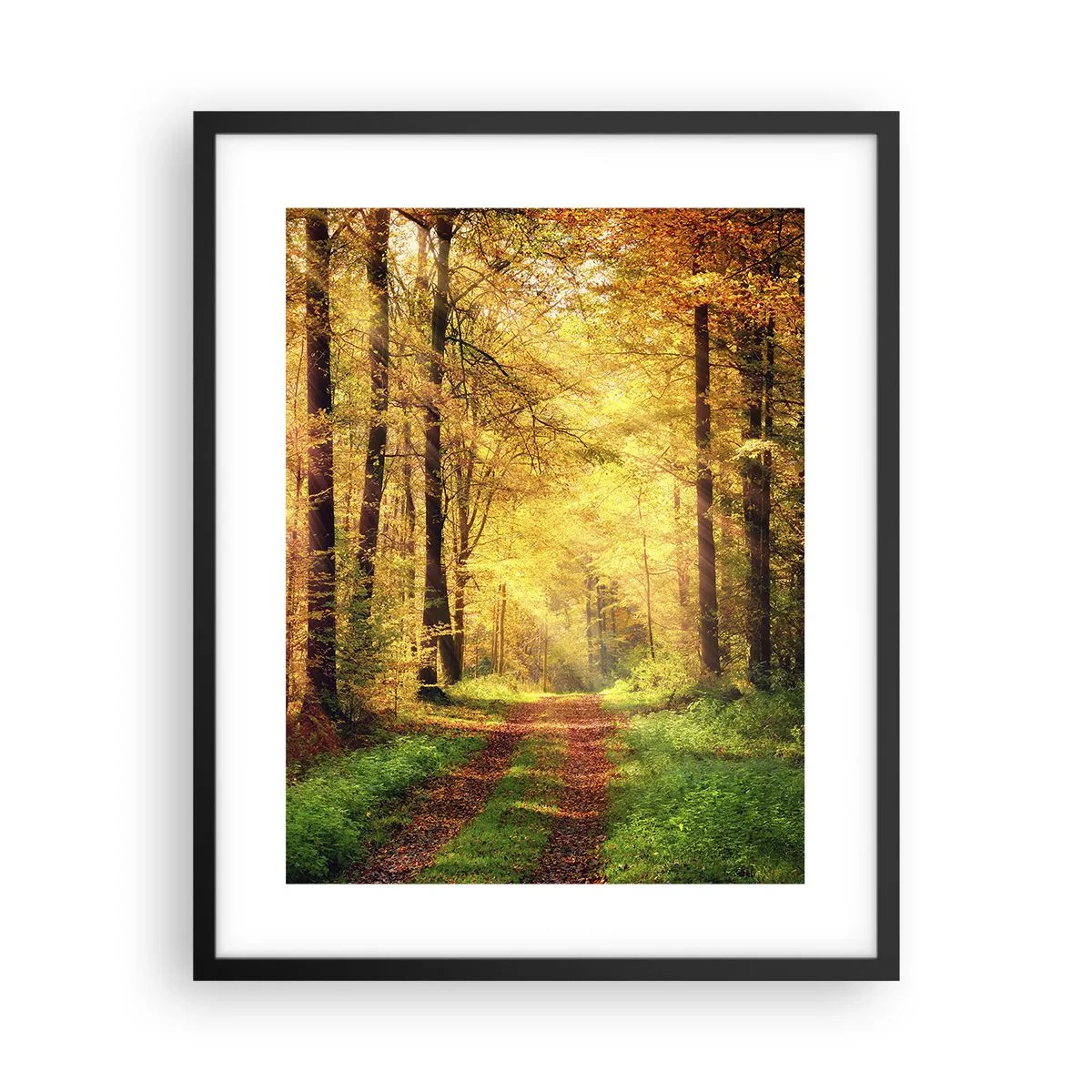 Poster în ramă neagră - Tăcere de aur de pădure - 40x50 cm