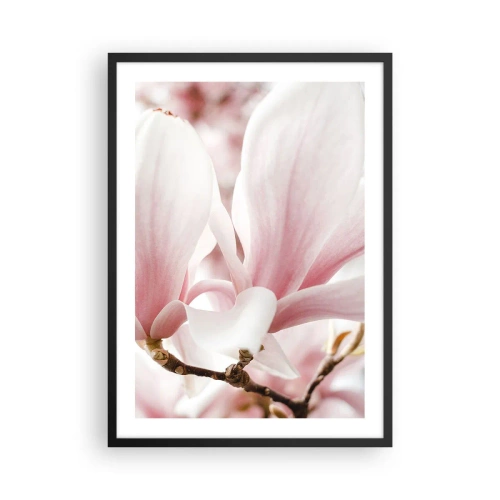 Poster în ramă neagră - Petale delicate de magnolie roz pe un fundal neclar - 50x70cm - Imensitatea sensibilității - Decorațiune modernă pentru perete pentru living și dormitor ARTTOR