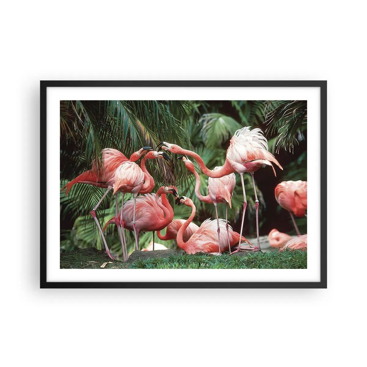 Poster în ramă neagră - Bârfa de după-amiază - 70x50 cm