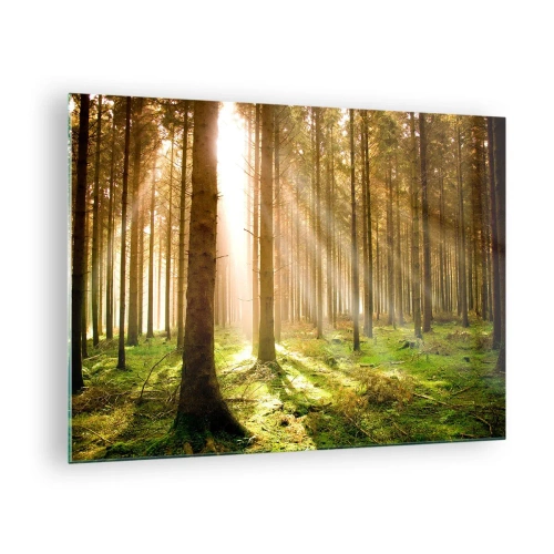 Tablou pe sticlă - Razele soarelui pătrund printre copacii din pădure - 70x50cm - Spiridușii sunt pe cale să apară - Decorațiune modernă pentru perete pentru living și dormitor ARTTOR