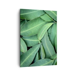 Tablou pe pânză - Suculente și proaspete - 50x70 cm