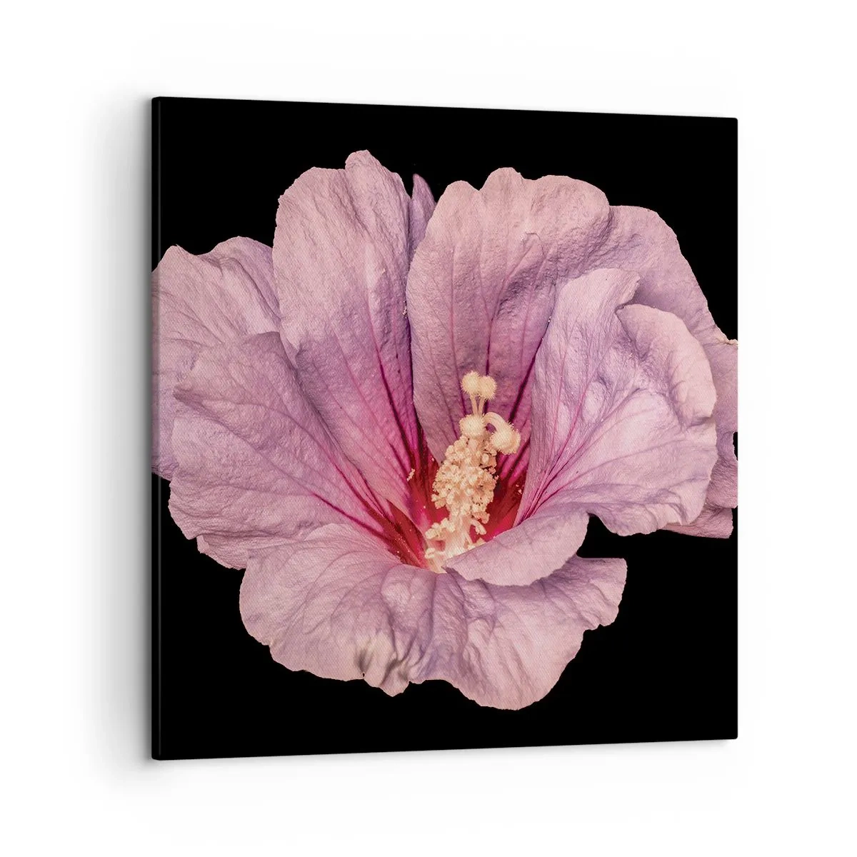 Tablou pe pânză - Direct la inimă - 50x50 cm