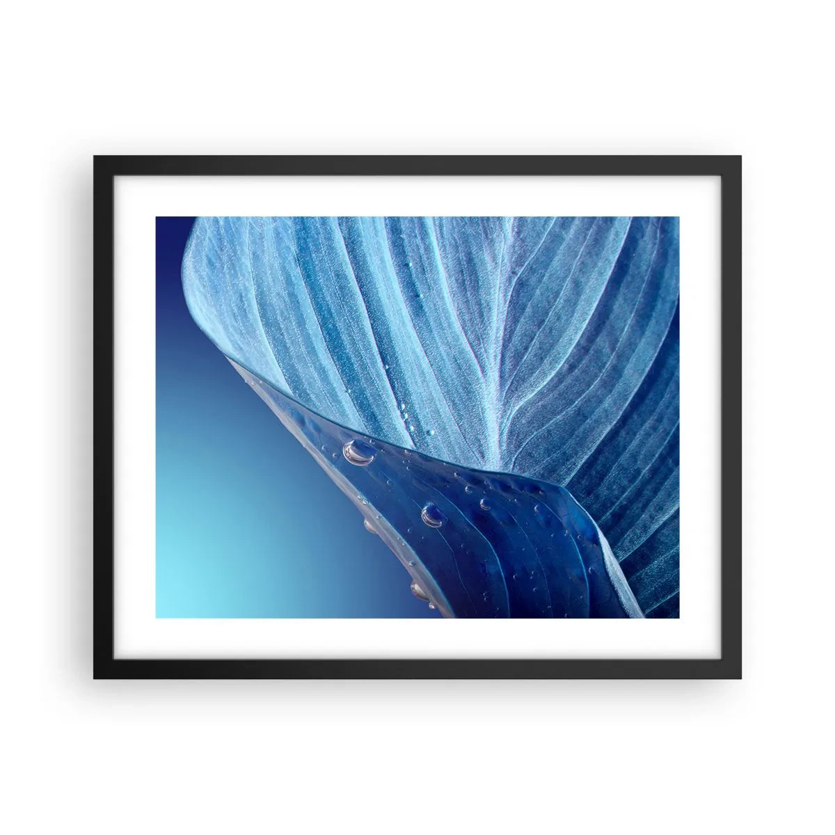 Poster în ramă neagră - Picături ascunse de albastru - 50x40 cm