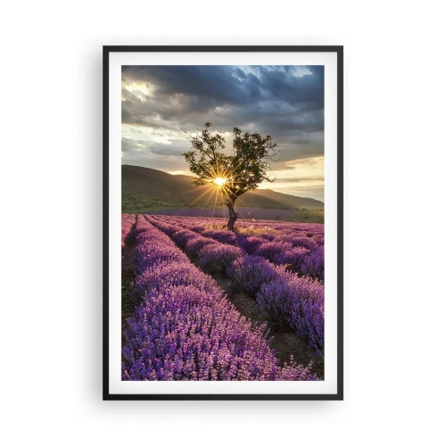 Poster în ramă neagră - Aroma în liliac - 61x91 cm