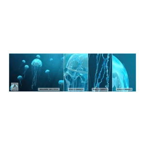 Mostră tapet autocolant Deluxe Sticker - Dansul oceanic - meduze, Ocean, Apă - 100x30 cm