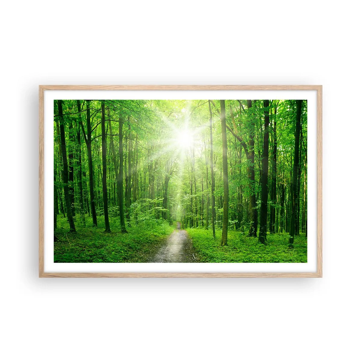 Poster în ramă de stejar deschis - Catedrala verde - 91x61 cm