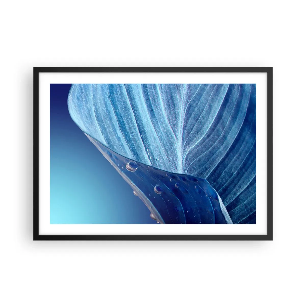Poster în ramă neagră - Picături ascunse de albastru - 70x50 cm