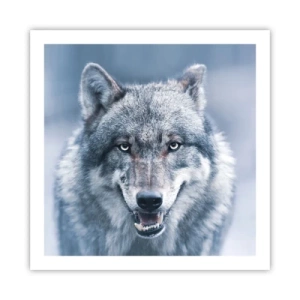 Poster - Accepți provocarea? - 60x60 cm