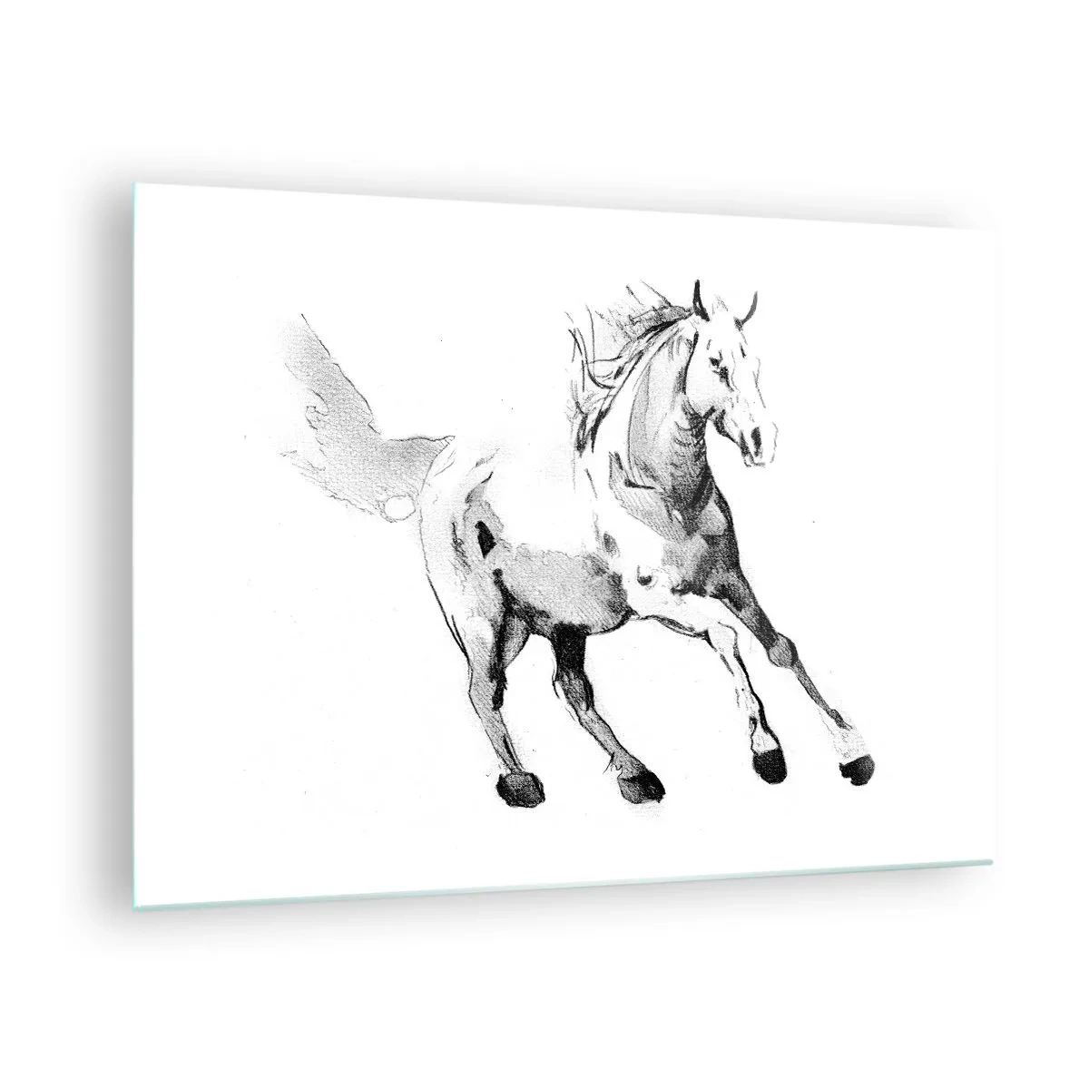 Tablou pe sticlă - Schiță alb-negru a unui cal în galop pe fundal alb - 70x50cm - Suflet neîmblânzit - Decorațiune modernă pentru perete pentru living și dormitor ARTTOR