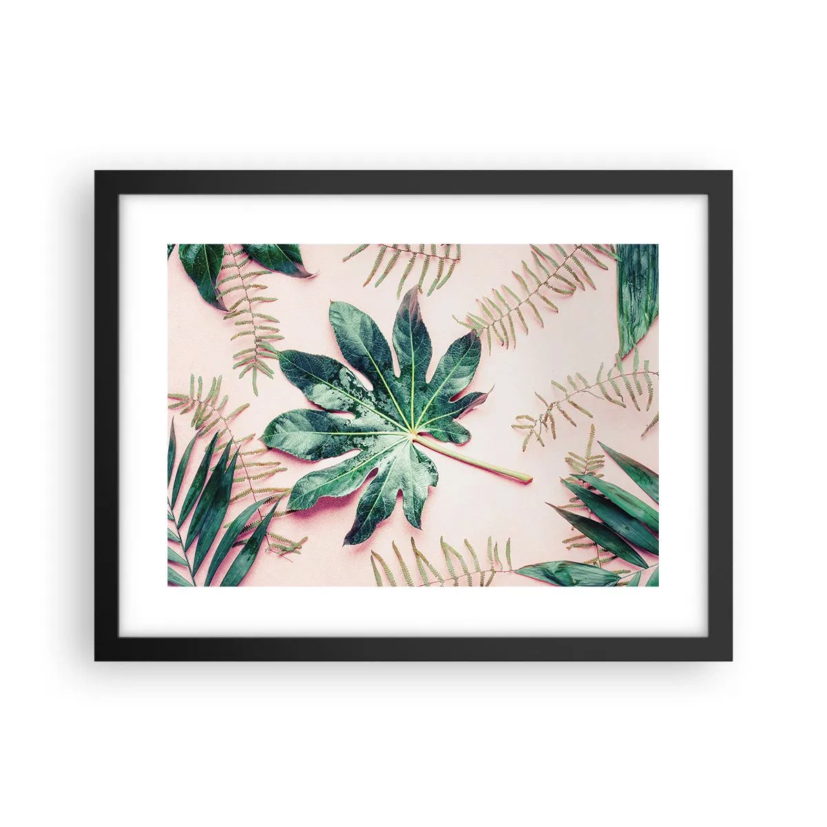 Poster în ramă neagră - Studiu de verdeață pe un fundal roz - 40x30 cm