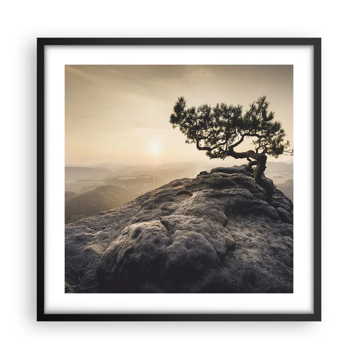 Poster în ramă neagră - Viața învinge întotdeauna - 50x50 cm