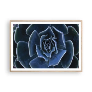 Poster în ramă de stejar deschis - Floare de deșert - 100x70 cm