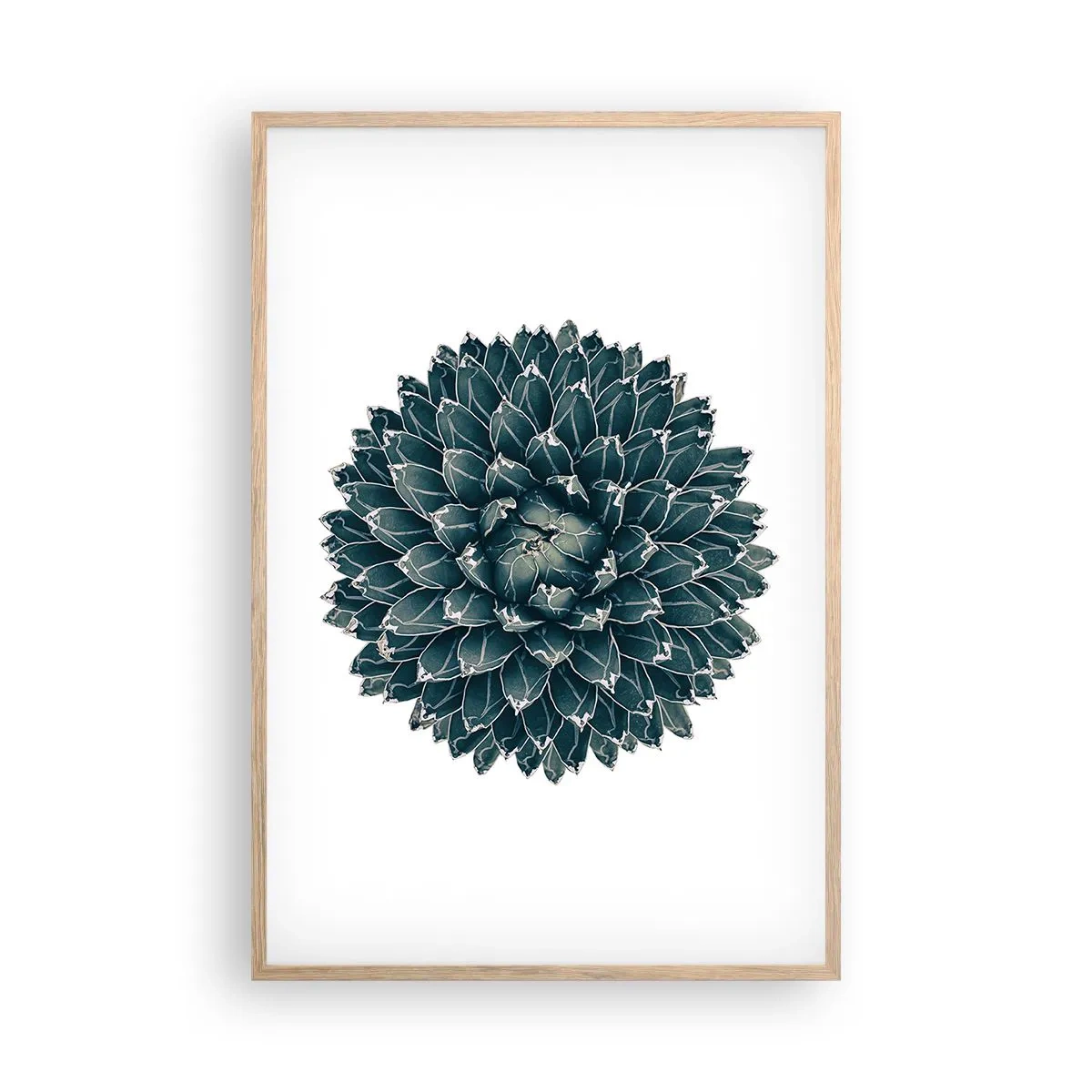 Poster în ramă de stejar deschis - Steaua deșertului - 61x91 cm