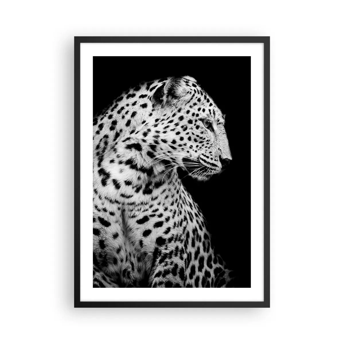 Poster în ramă neagră - Portret alb-negru al unui leopard pe fundal negru - 50x70cm - Profilul drept perfect! - Decorațiune modernă pentru perete pentru living și dormitor ARTTOR