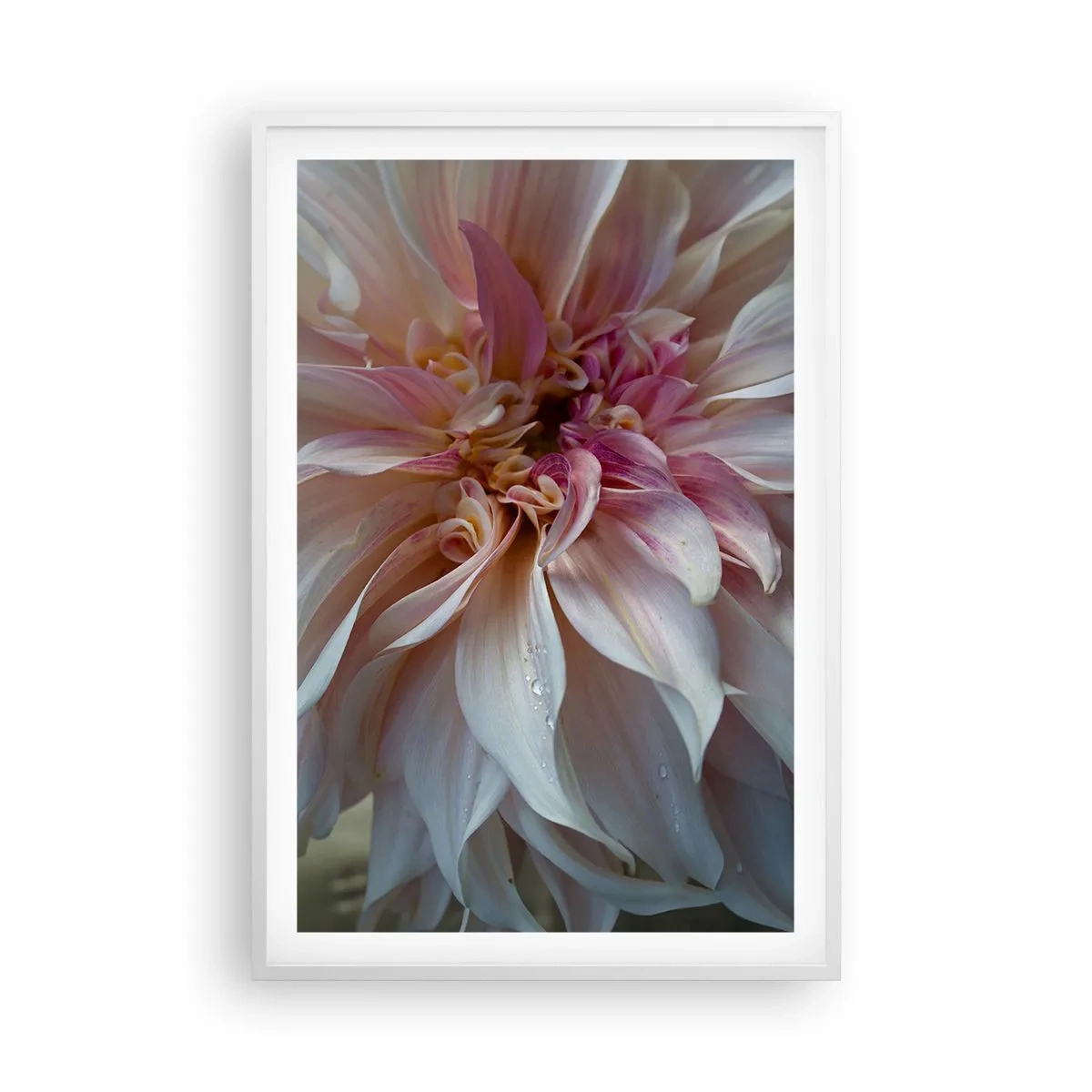 Poster în ramă albă - Prospețime înfloritoare - 61x91 cm