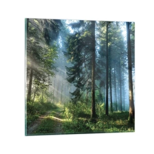 Tablou pe sticlă - Strălucirea de dimineață - 70x70 cm