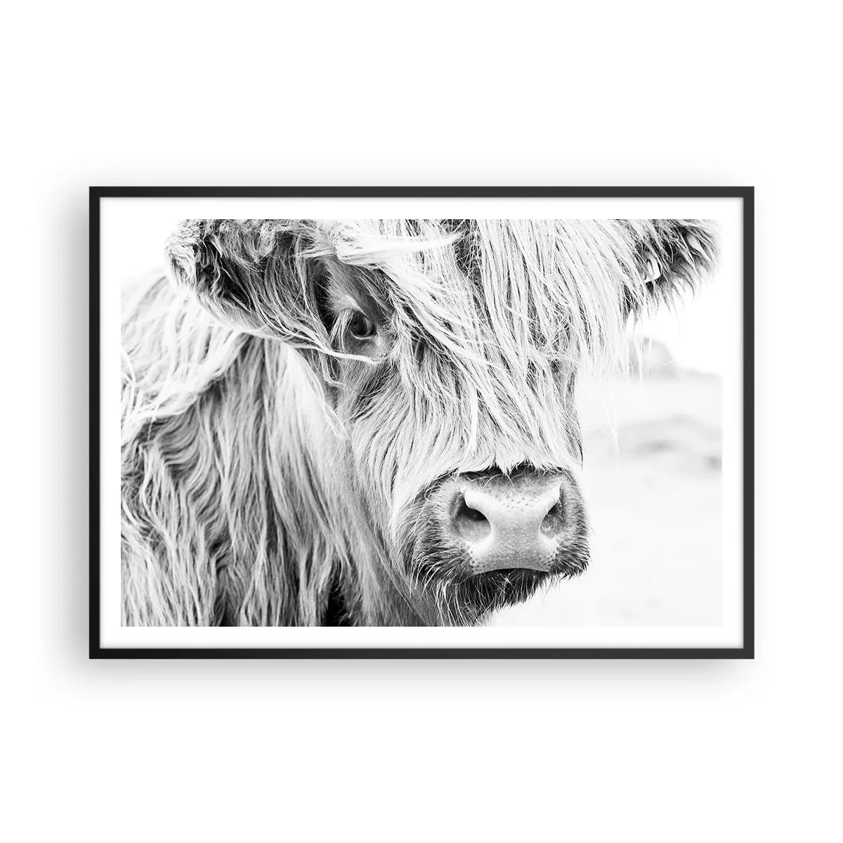 Poster în ramă neagră - Sălbăticie scoțiană - 100x70 cm