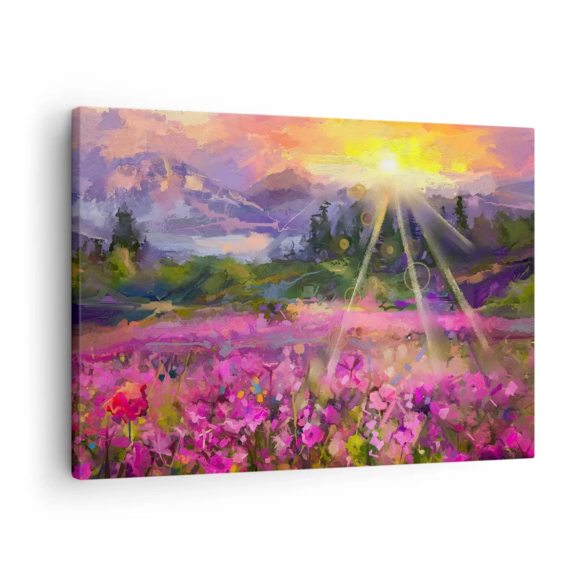 Tablou pe pânză Canvas - O pajiște pitorească în razele soarelui care apune - 70x50cm - Într-o vale sub protecția soarelui - Decorațiune modernă pentru perete pentru living și dormitor ARTTOR
