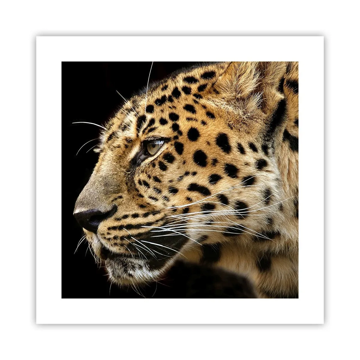 Poster - Calm, concentrat, pregătit - 40x40 cm