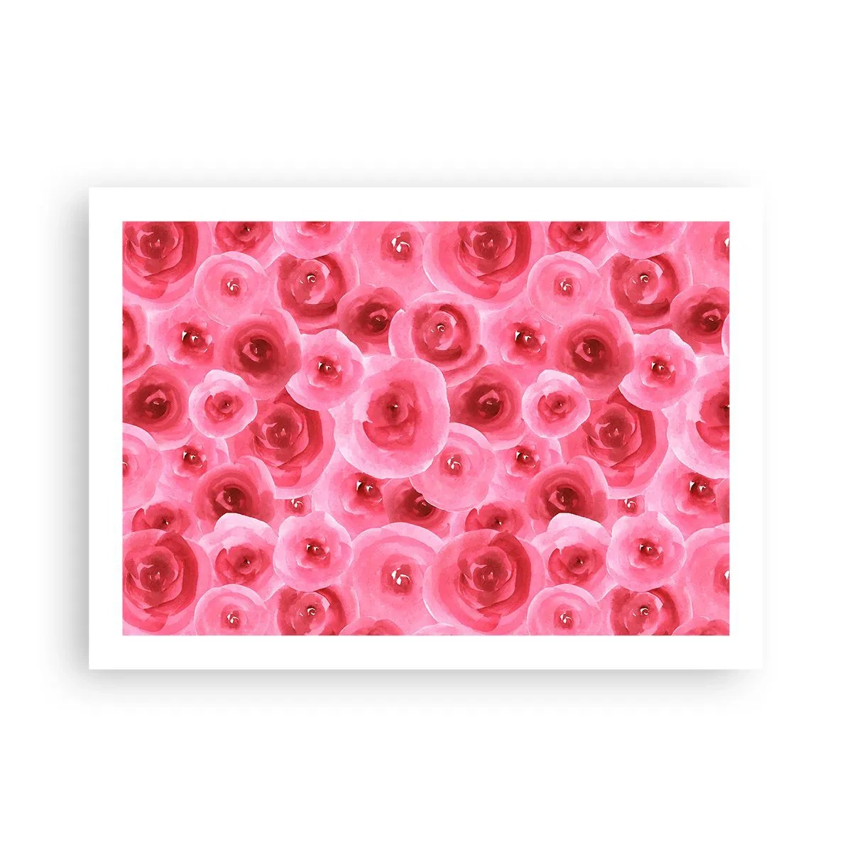 Poster - Trandafiri de sus în jos - 70x50 cm