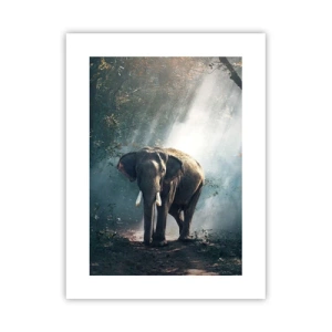 Poster - O plimbare liniștită - 30x40 cm