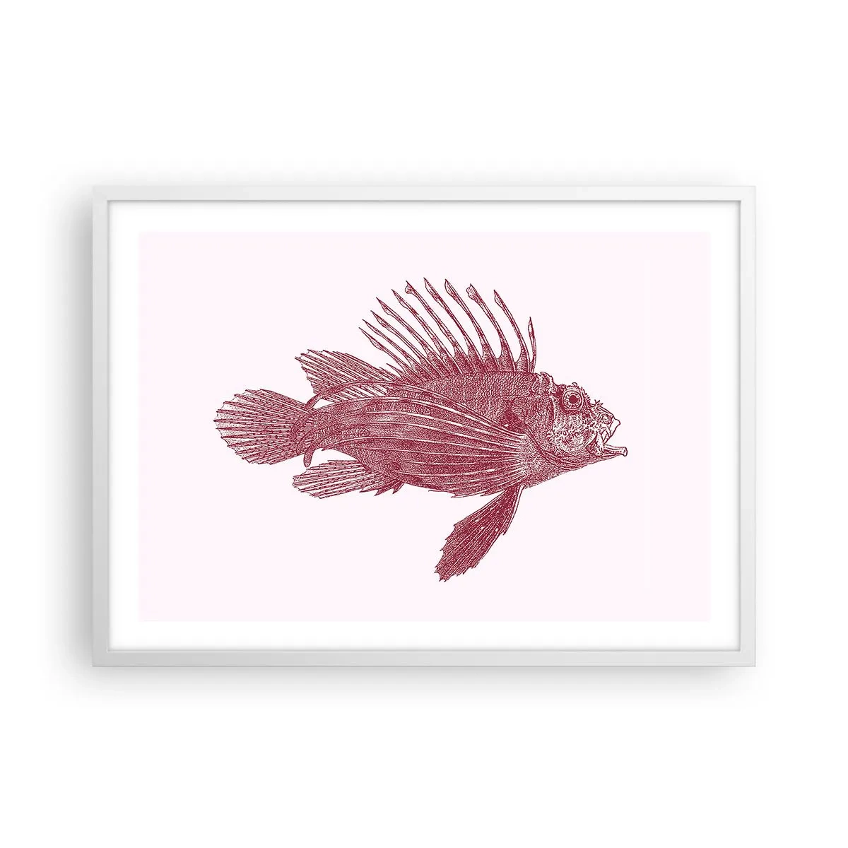 Poster în ramă albă - Un locuitor al apelor exotice - 70x50 cm