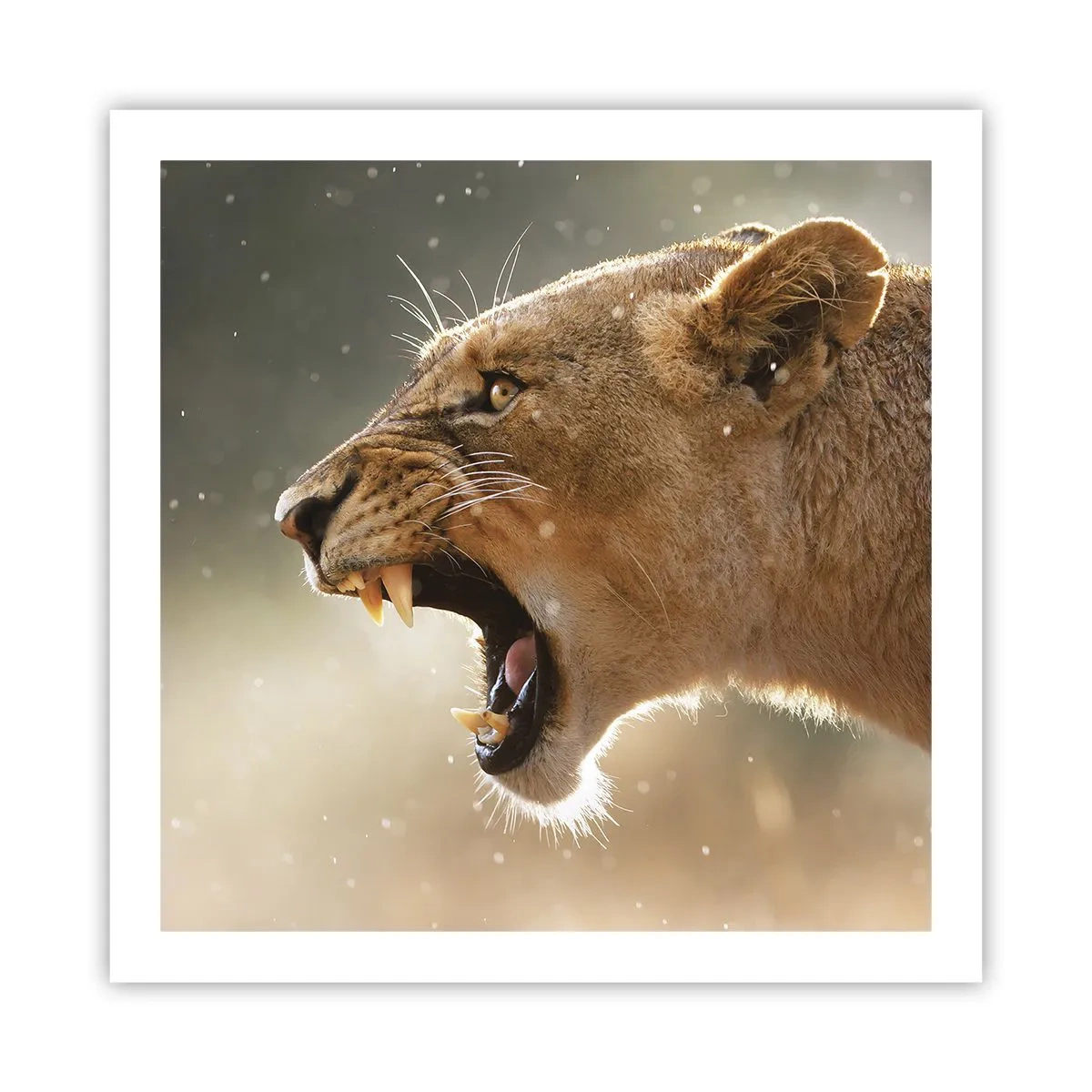 Poster - Încearcă să nu asculți - 60x60 cm