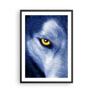 Poster în ramă neagră - Un prim-plan al ochiului galben al unui lup într-o nuanță albastră - 50x70cm - O privire hipnotizantă - Decorațiune modernă pentru perete pentru living și dormitor ARTTOR