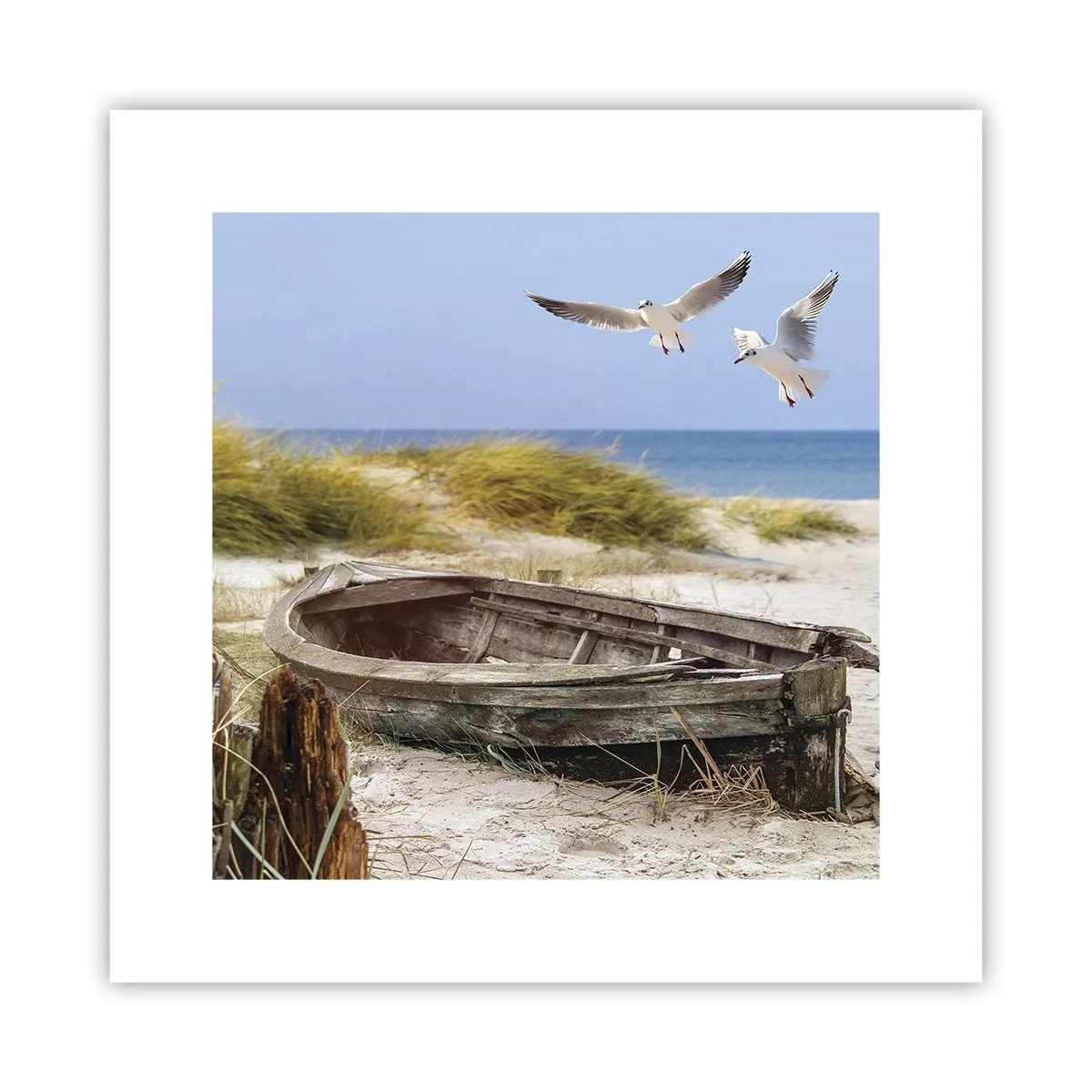 Poster - Scăldate în vânt - 30x30 cm