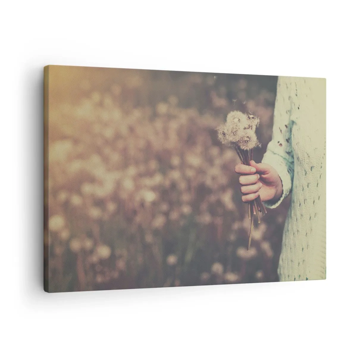 Tablou pe pânză Canvas - O mână care ține păpădii pe un fundal neclar al unui câmp plin de flori. - 70x50cm - Păstrați-le, vă rog - Decorațiune modernă pentru perete pentru living și dormitor ARTTOR
