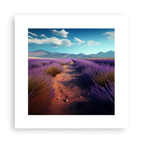 Poster - Câmpuri parfumate - 30x30 cm