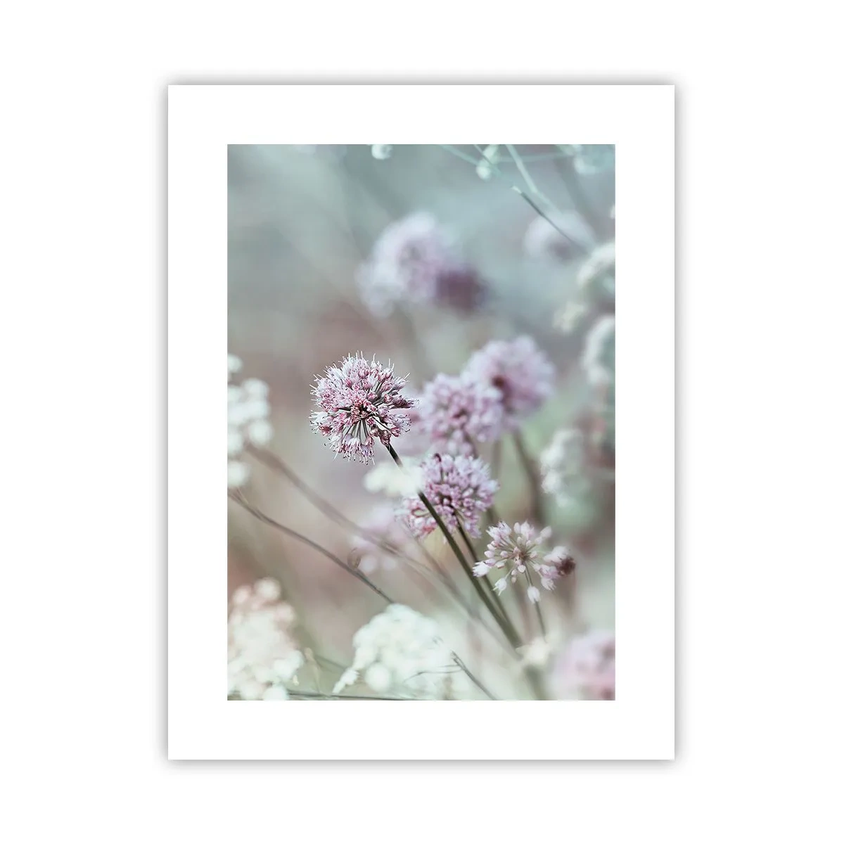 Poster - Ierburi dulci filigranate - 30x40 cm