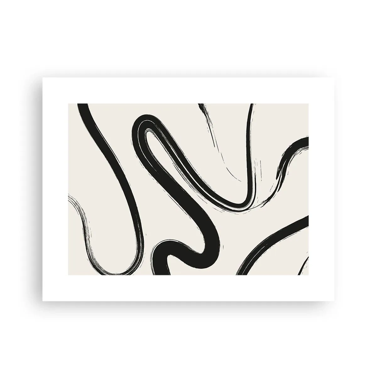 Poster - Capriciu în alb și negru - 40x30 cm