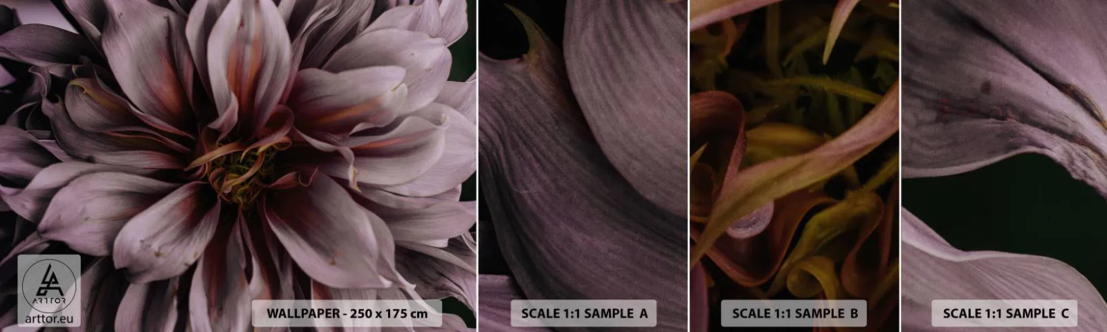 Mostră de Tapet Standard Eco - Inimă florală - Buchet de flori, Dalie, Floare - 100x30 cm