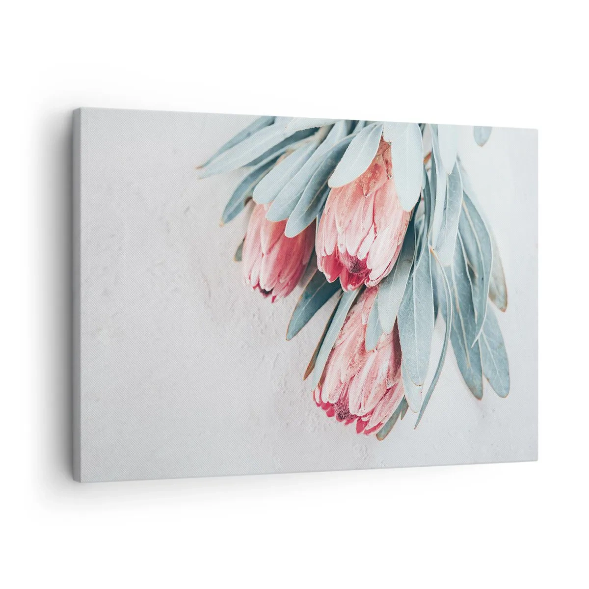 Tablou pe pânză - Rușinate de propria lor frumusețe - 70x50 cm
