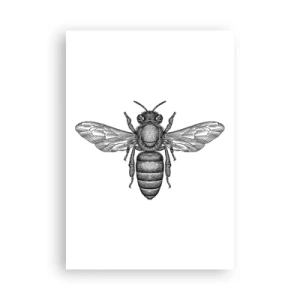 Poster - Portret de insectă - 70x100 cm