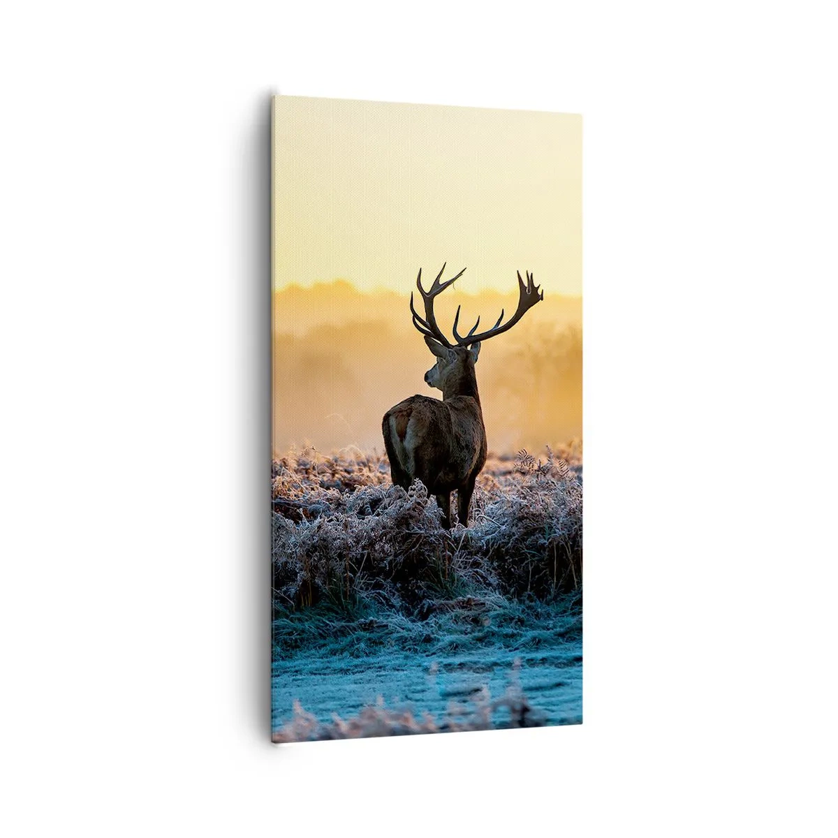 Tablou pe pânză - Încoronat pe domeniul său - 65x120 cm