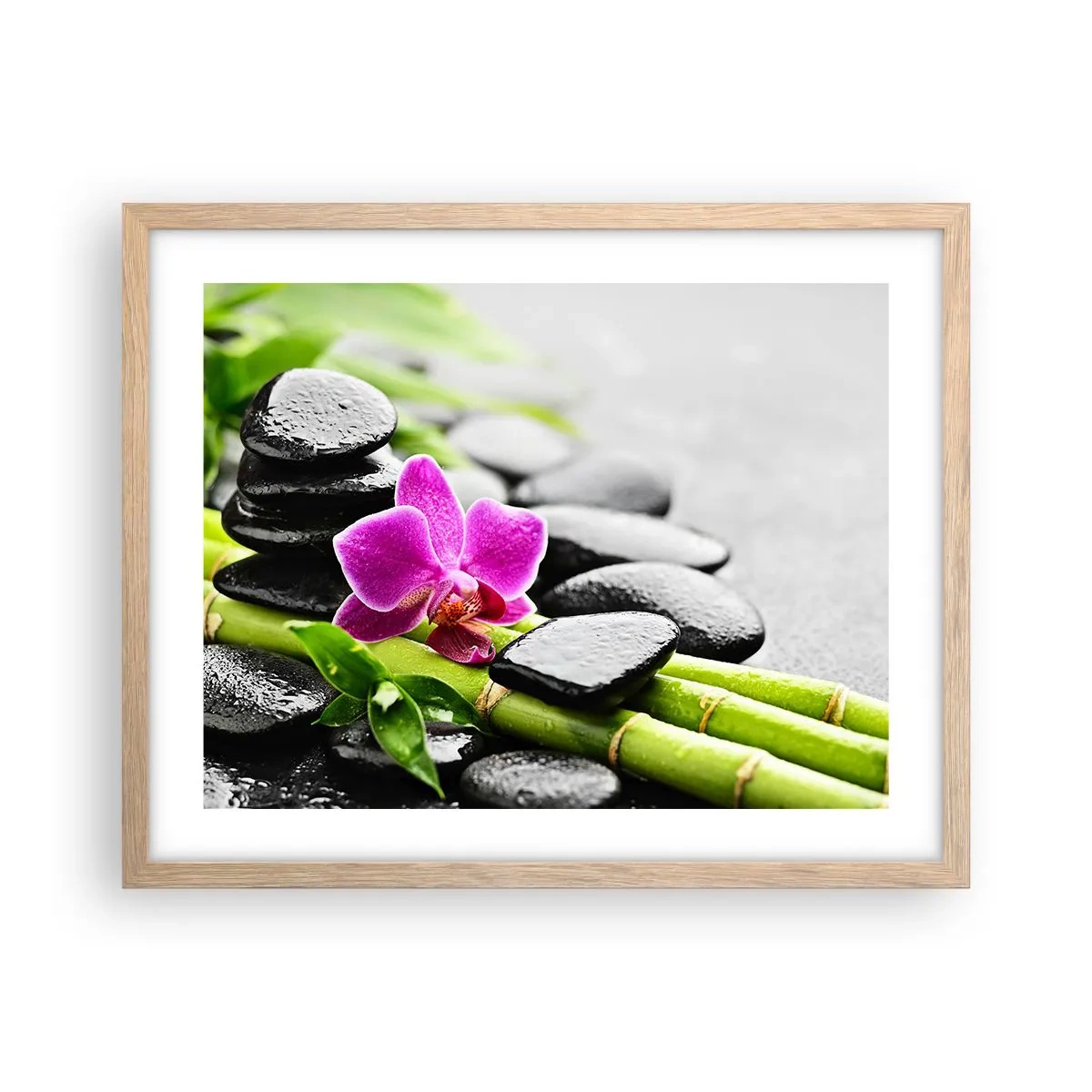 Poster în ramă de stejar deschis - Într-un echilibru pașnic - 50x40 cm